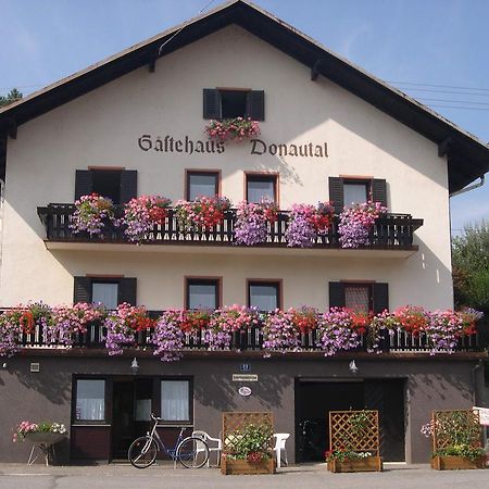 Vichtenstein Gaestehaus Donautal מראה חיצוני תמונה